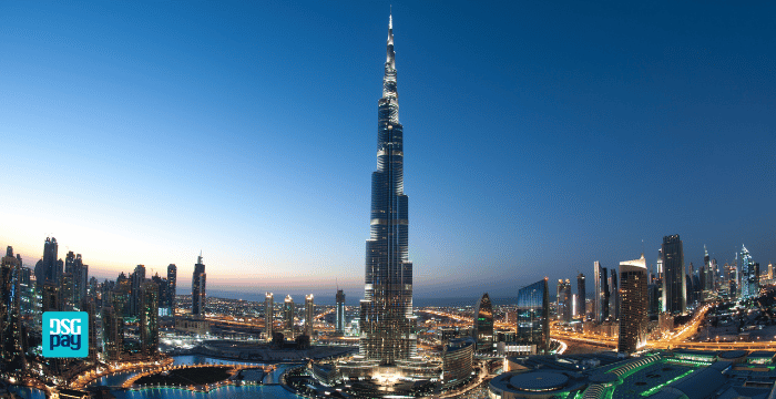 Send Money to the UAE from the USA