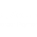 dsgpay logo